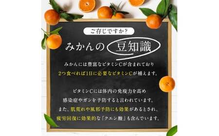尾崎 温州 みかん 約 10kg 柑橘 フルーツ 果物 名産地 天水ﾐｶﾝﾐｶﾝﾐｶﾝﾐｶﾝﾐｶﾝﾐｶﾝﾐｶﾝﾐｶﾝﾐｶﾝﾐｶﾝﾐｶﾝﾐｶﾝﾐｶﾝﾐｶﾝﾐｶﾝﾐｶﾝﾐｶﾝﾐｶﾝﾐｶﾝﾐｶﾝﾐｶﾝﾐｶﾝﾐｶﾝﾐｶﾝﾐｶﾝﾐｶﾝﾐｶﾝﾐｶﾝﾐｶﾝﾐｶﾝﾐｶﾝﾐｶﾝﾐｶﾝﾐｶﾝﾐｶﾝﾐｶﾝﾐｶﾝﾐｶﾝﾐｶﾝﾐｶﾝﾐｶﾝﾐｶﾝﾐｶﾝﾐｶﾝﾐｶﾝﾐｶﾝﾐｶﾝﾐｶﾝﾐｶﾝﾐｶﾝﾐｶﾝﾐｶﾝﾐｶﾝﾐｶﾝﾐｶﾝﾐｶﾝﾐｶﾝﾐｶﾝﾐｶﾝﾐｶﾝﾐｶﾝﾐｶﾝﾐｶﾝﾐｶﾝﾐｶﾝﾐｶﾝﾐｶﾝﾐｶﾝﾐｶﾝﾐｶﾝﾐｶﾝﾐｶﾝﾐｶﾝﾐｶﾝﾐｶﾝﾐｶﾝﾐｶﾝﾐｶﾝﾐｶﾝﾐｶﾝﾐｶﾝﾐｶﾝﾐｶﾝﾐｶﾝﾐｶﾝﾐｶﾝﾐｶﾝﾐｶﾝﾐｶﾝﾐｶﾝﾐｶﾝﾐｶﾝﾐｶﾝﾐｶﾝﾐｶﾝﾐｶﾝﾐｶﾝﾐｶﾝﾐｶﾝﾐｶﾝﾐｶﾝﾐｶﾝﾐｶﾝﾐｶﾝﾐｶﾝﾐｶﾝﾐｶﾝﾐｶﾝﾐｶﾝﾐｶﾝﾐｶﾝﾐｶﾝﾐｶﾝﾐｶﾝﾐｶﾝﾐｶﾝﾐｶﾝﾐｶﾝﾐｶﾝﾐｶﾝﾐｶﾝﾐｶﾝﾐｶﾝﾐｶﾝﾐｶﾝﾐｶﾝﾐｶﾝﾐｶﾝﾐｶﾝﾐｶﾝﾐｶﾝﾐｶﾝﾐｶﾝﾐｶﾝﾐｶﾝﾐｶﾝﾐｶﾝﾐｶﾝﾐｶﾝﾐｶﾝﾐｶﾝﾐｶﾝﾐｶﾝﾐｶﾝﾐｶﾝﾐｶﾝﾐｶﾝﾐｶﾝﾐｶﾝﾐｶﾝﾐｶﾝﾐｶﾝﾐｶﾝﾐｶﾝﾐｶﾝﾐｶﾝﾐｶﾝﾐｶﾝﾐｶﾝﾐｶﾝﾐｶﾝﾐｶﾝﾐｶﾝﾐｶﾝﾐｶﾝﾐｶﾝﾐｶﾝﾐｶﾝﾐｶﾝﾐｶﾝﾐｶﾝﾐｶﾝﾐｶﾝﾐｶﾝﾐｶﾝﾐｶﾝﾐｶﾝﾐｶﾝﾐｶﾝﾐｶﾝﾐｶﾝﾐｶﾝﾐｶﾝﾐｶﾝﾐｶﾝﾐｶﾝﾐｶﾝﾐｶﾝﾐｶﾝﾐｶﾝﾐｶﾝﾐｶﾝﾐｶﾝﾐｶﾝﾐｶﾝﾐｶﾝﾐｶﾝﾐｶﾝﾐｶﾝﾐｶﾝﾐｶﾝﾐｶﾝﾐｶﾝﾐｶﾝﾐｶﾝﾐｶﾝﾐｶﾝﾐｶﾝﾐｶﾝﾐｶﾝﾐｶﾝﾐｶﾝﾐｶﾝﾐｶﾝﾐｶﾝﾐｶﾝﾐｶﾝﾐｶﾝﾐｶﾝﾐｶﾝﾐｶﾝﾐｶﾝﾐｶﾝﾐｶﾝﾐｶﾝﾐｶﾝﾐｶﾝﾐｶﾝﾐｶﾝﾐｶﾝﾐｶﾝﾐｶﾝﾐｶﾝﾐｶﾝﾐｶﾝﾐｶﾝﾐｶﾝﾐｶﾝﾐｶﾝﾐｶﾝﾐｶﾝﾐｶﾝﾐｶﾝﾐｶﾝﾐｶﾝ