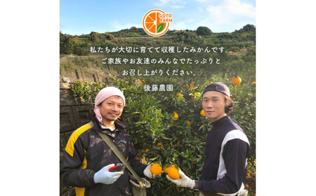 たまな産 温州みかん 6kg | 果物 くだもの フルーツ 柑橘類 柑橘 みかん ミカン 蜜柑 熊本 玉名