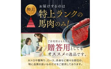 本場 熊本 馬刺し 豪華 5種盛り約250g（50g×5P）専用タレ付き | 馬刺 馬刺し 赤身 霜降り 肉 馬肉 お肉 刺身 生肉 熊本県 玉名市