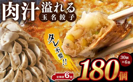 【 定期便 6回 】タレ不要? 肉汁 溢れる『 玉名餃子 』 180個 （30個×6袋）| 餃子 ぎょうざ お手軽 小分け 冷凍 冷凍食品 おかず 豚肉
