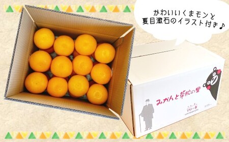 「 河内晩柑 」 約7kg 【 熊本玉名・みかん専門店より 】 | 果物 くだもの フルーツ 柑橘 柑橘類 みかん 河内 晩柑 和製グレープフルーツ 熊本県 玉名市