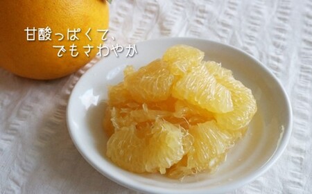 「 河内晩柑 」 約7kg 【 熊本玉名・みかん専門店より 】 | 果物 くだもの フルーツ 柑橘 柑橘類 みかん 河内 晩柑 和製グレープフルーツ 熊本県 玉名市