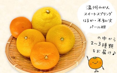 旬の玉名産みかん約5kg詰め合わせ 【 お楽しみセット 】 | 果物 くだもの フルーツ 柑橘 柑橘類 みかん 熊本県 玉名市 詰め合わせ 旬 セット お楽しみ