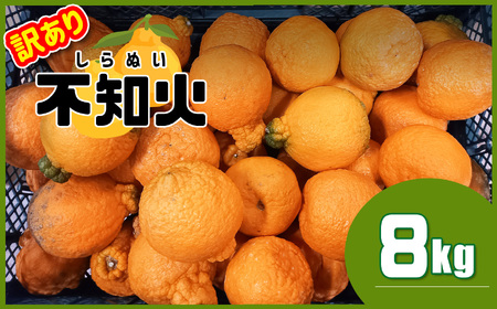 ≪訳あり≫ 不知火 熊本県産 8kg | フルーツ 果物 くだもの 柑橘 ミカン みかん オレンジ しらぬい 熊本県 玉名市