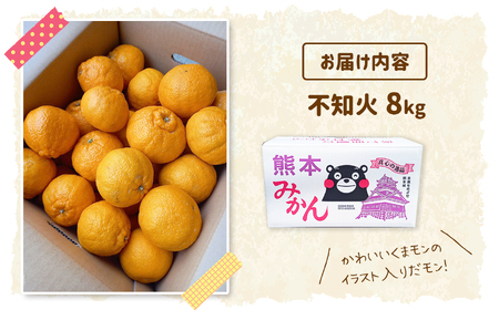 熊本県産 不知火（特選） 8kg | フルーツ 果物 くだもの 柑橘 みかん ミカン オレンジ しらぬい 熊本県 玉名市
