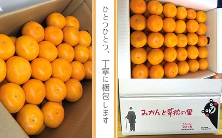 温州みかん 10kg | フルーツ 果物 くだもの 柑橘 柑橘類 みかん ミカン 温州みかん 温州ミカン 熊本県 玉名市