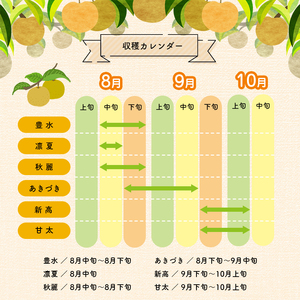 くまもと 旬の 梨 約 3kg | フルーツ 果物 くだもの なし ナシ 梨 旬 熊本県 玉名市
