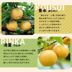 くまもと 旬の 梨 約 5kg | フルーツ 果物 くだもの なし ナシ 梨 旬 熊本県 玉名市