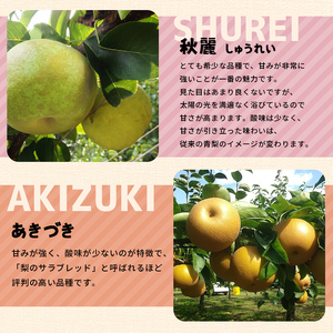 くまもと 旬の 梨 約 5kg | フルーツ 果物 くだもの なし ナシ 梨 旬 熊本県 玉名市