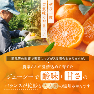 訳あり 熊本県産 温州みかん 約 10kg | 果物 くだもの フルーツ 柑橘 柑橘類 みかん ミカン 温州 大小混合 熊本県 玉名市