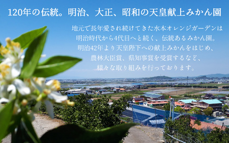 旬の柑橘類詰め合わせセット 約2.5kg 水本オレンジガーデン | 果物 くだもの フルーツ 柑橘類 みかん ミカン 熊本県 玉名市 旬 ざっかん スイーツ 詰め合わせ 産地直送 家庭用