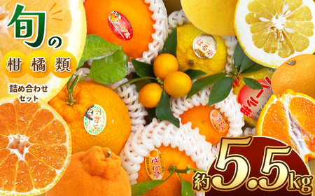 旬の柑橘類詰め合わせセット 約5.5kg 水本オレンジガーデン | 果物 くだもの フルーツ 柑橘類 みかん ミカン 熊本県 玉名市 旬 ざっかん スイーツ 詰め合わせ 産地直送 家庭用