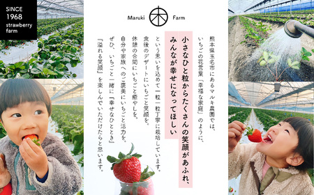 冷凍 いちご  ゆうべに 約 1kg ｜ フルーツ 果物 シャーベット アイス イチゴ いちご 苺 赤いちご 熊本県 玉名市