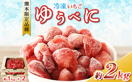 冷凍 いちご  ゆうべに 約 2kg ｜ フルーツ 果物 シャーベット アイス イチゴ いちご 苺 赤いちご 熊本県 玉名市