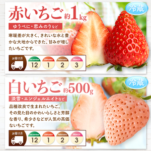 【 定期便 4回 】 3ヵ月毎にお届け！まるごと 堪能 ！ 人気 フルーツ  ｜ 定期便 フルーツ ふるーつ くだもの 果物 熊本県 玉名市