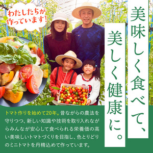 ミニトマト 生産量 日本一 玉名市 !! カラフル ミニトマト 約 2kg （ ミックス ） サザキ農園  | 野菜 トマト ミニトマト 熊本県 玉名市