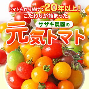 【 定期便 4回 】 ミニトマト 生産量 日本一 玉名市 !! カラフル ミニトマト 約 2kg （ ミックス ） サザキ農園    | 野菜 トマト ミニトマト 熊本県 玉名市 定期便