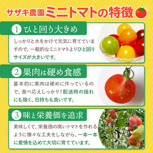【 定期便 3回 】 ミニトマト 生産量 日本一 玉名市 !! カラフル ミニトマト 約 3kg （ ミックス ） サザキ農園    | 野菜 トマト ミニトマト 熊本県 玉名市 定期便