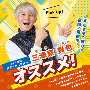 熊本県産 イチゴ 「 恋みのり 」 1箱（250g入り×2パック） | フルーツ 果物 くだもの いちご 苺 500g 熊本県 玉名市