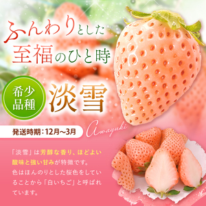厳選農家直送 淡雪 約500g | イチゴ いちご 苺 果物 くだもの フルーツ 熊本県 玉名市