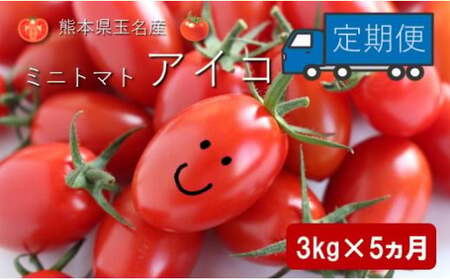 ミニトマト アイコ 【 5ヶ月定期便 】 | 野菜 やさい ミニトマト トマト とまと アイコ 3㎏ 5ヶ月 定期便 熊本県 玉名市