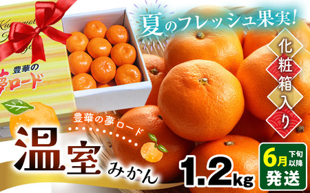 温室みかん 『豊華の夢ロード』 約1.2kg 化粧箱入り | 果物 くだもの 柑橘 みかん ミカン フルーツ 熊本 玉名