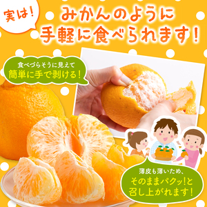 【 ご家庭用 訳あり 】 不知火 5kg