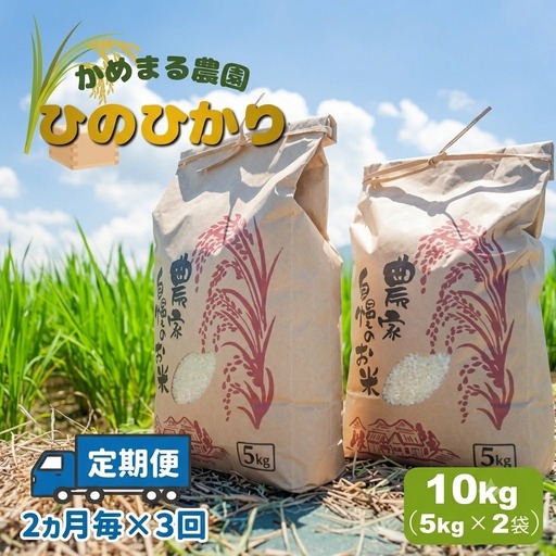 かめまる農園の「ひのひかり」10kg（2ヶ月毎×3回） | 米 こめ お米 おこめ 白米 精米 定期便 熊本県産 熊本県 玉名市