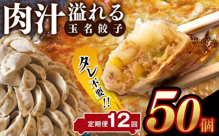 【定期便12回】タレ不要！！ 肉汁 溢れる『 玉名餃子 』 50個 | 餃子 ぎょうざ お手軽 小分け 冷凍 冷凍食品 おかず 豚肉
