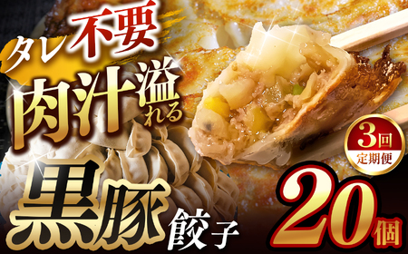 【定期便3回】肉汁 溢れる『 黒豚餃子 』 20個 | 餃子 ぎょうざ お手軽 小分け 冷凍 冷凍食品 おかず 豚肉