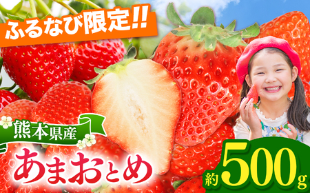 【ふるなび限定】坂本いちご農園 あまおとめ 約500g | 果物 くだもの フルーツ いちご 苺 イチゴ あまおとめ 500g 熊本県 玉名市 FN-Limited-SP