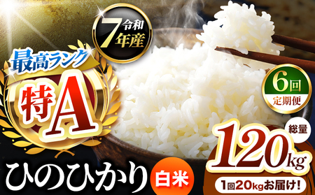 定期便 6回 】熊本県産 ひのひかり 白米 20kg | お米 米 こめ 定期便 6回 】熊本県産 ひのひかり 白米 20kg | お米 米 こめ