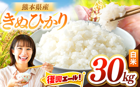 令和7年産 きぬひかり 30kg | お米 米 こめ おこめ 精米 キヌヒカリ 30キロ 国産 国産米 くまもと 熊本 熊本県 玉名市 玉名