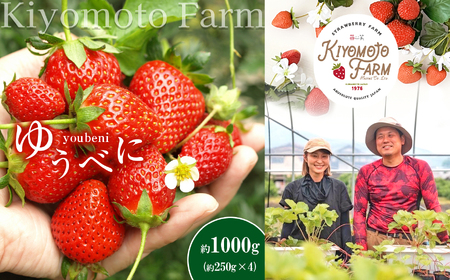 玉名産イチゴ ゆうべに 約1000g （ 250g × 4パック ）