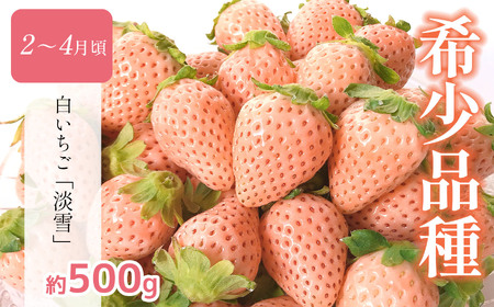 【 定期便6回 】 熊本 人気 フルーツ | 果物 白いちご 淡雪 不知火 デコポン みかん いちご イチゴ メロン すいか スイカ アイス キャンディー クレープ みかん 柑橘