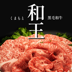 【 定期便 4回 】 和王 厳選コース ｜ 牛肉 定期 定期便 和牛 黒毛和牛 熊本県 玉名市