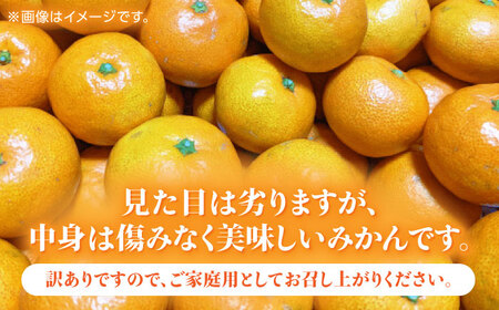 【数量限定】【訳あり】家庭用 温州 みかん 約約4.5kg～5kg【合同会社 福福堂】[ZCN014]