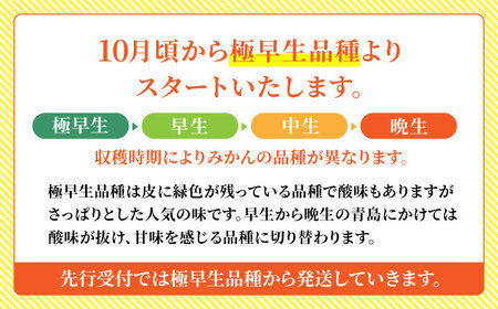 【数量限定】【訳あり】家庭用 温州 みかん 約約4.5kg～5kg【合同会社 福福堂】[ZCN014]