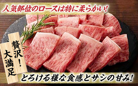 【3回定期便】九州産 藤彩牛 ロース 焼肉用 [ZDT035] 冷凍 国産 牛肉 焼き肉 やきにく 熊本 くまもと 定期