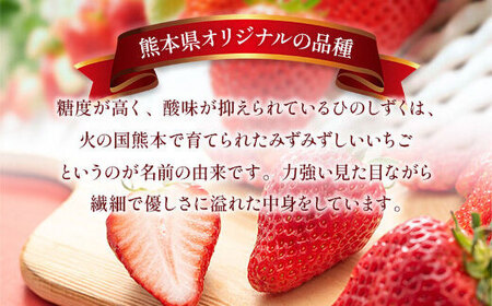 【先行予約】 ひのしずく 約1kg 【くまふる】[ZBG027]