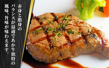 【全3回定期便】あか牛 極上 ヒレ ステーキ セット 150g×2枚 あか牛のたれ付き【有限会社 三協畜産】[ZEB058]