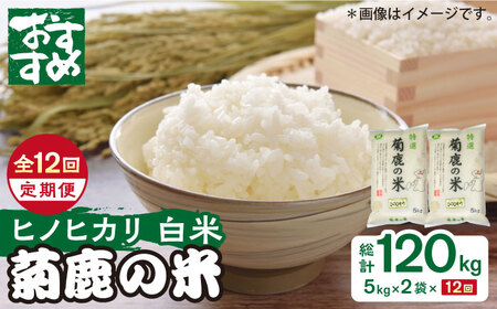 12回定期便】菊鹿の米 ヒノヒカリ 白米 5kg×2袋【有限会社 あそしな