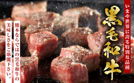 【3回定期便】熊本県産 黒毛和牛 もも 食べ比べ セット 約1kg【九州食肉産業】ブロック 薄切り 焼き肉 [ZDQ056]