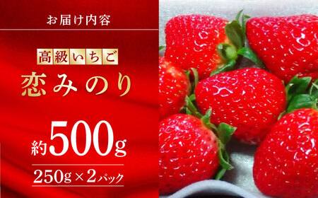 数量限定】【先行予約】高級 いちご 恋みのり 約500g（250g×2pc