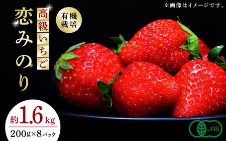 高級いちご恋みのり約1600g(200g×8pc)有機栽培いちご苺ZBB007