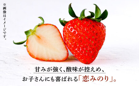 【6回定期便】高級 冷凍  いちご 加工用 約1kg（約500g×2袋）【伊藤農園】  果物 フルーツ イチゴ いちご 苺 熊本県 特産品 オーガニック 有機 恋みのり 冷凍 [ZBB016]