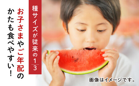 【先行予約】種ごと 食べられる 小玉スイカ 2玉 ピノガール【とみおか農園】[ZEM003]