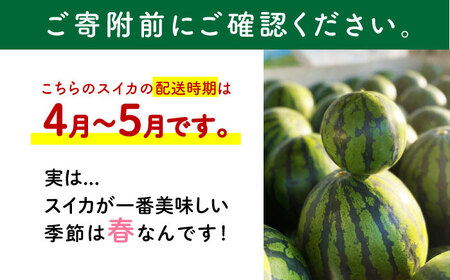 【先行予約】種ごと 食べられる 小玉スイカ 2玉 ピノガール【とみおか農園】[ZEM003]