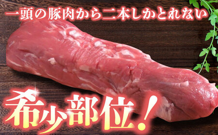 【3回定期便】豚帝 ヒレ ブロック 500g【KRAZY MEAT(小田畜産)】[ZCP043]