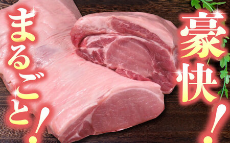 【6回定期便】豚帝 リブ ロース & ロース ブロック 約2kg【KRAZY MEAT(小田畜産)】[ZCP070]